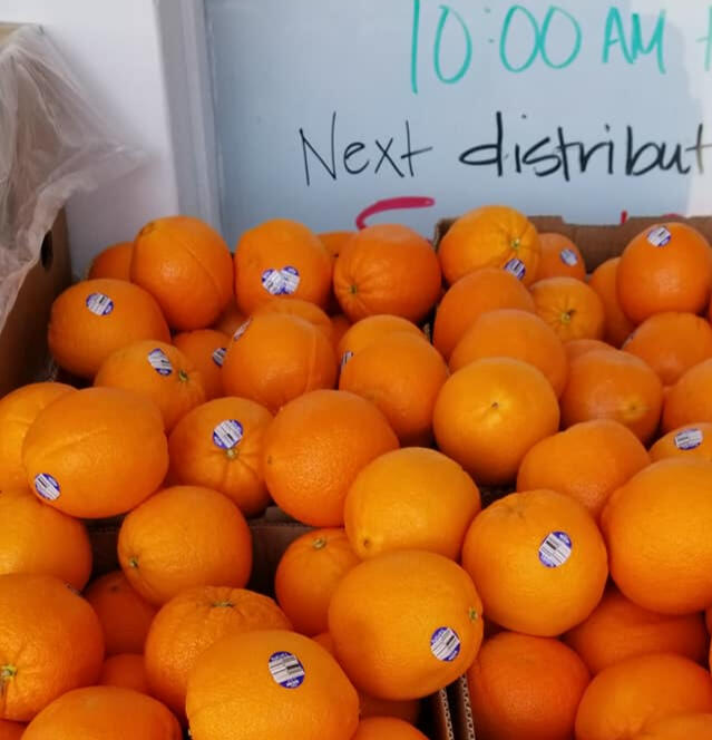 Lake Almanor basin food pantry volunteers three lake almanor basin food pantry volunteers assembled outside a distribuition point with a truck and camper shell, outdoors.